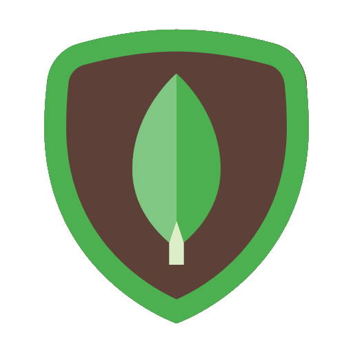 amitshuu - web developer - skill icon